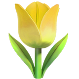 Tulip